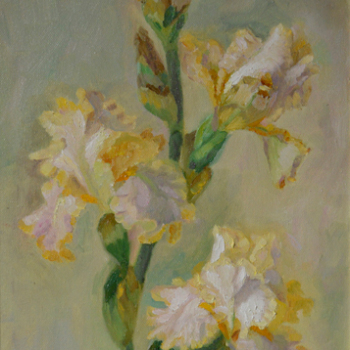 Gentle irises,  2018