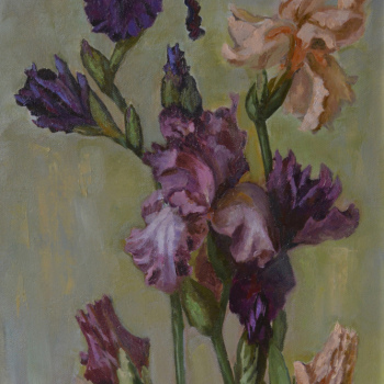 Irises, 2017